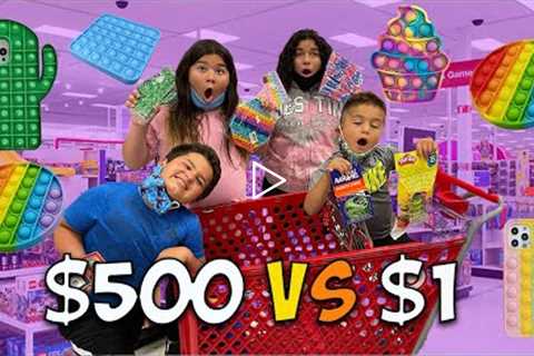 $1 vs $500 FIDGET TOY SHOPPING CHALLENGE AT TARGET!!