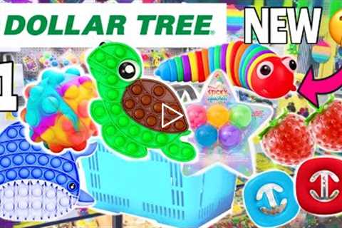 I BOUGHT EVERY NEW HIDDEN FIDGET AT DOLLAR TREE! 🤑 😱 No Budget Fidget Shopping Spree 🤫