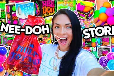 FIDGET TOY SHOPPING at the NEE DOH STORE!🤑💰*Extreme NO BUDGET Challenge*