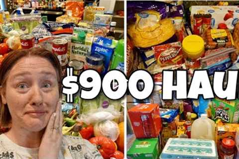 New House Grocery Haul | LARGE FAMILY GROCERIES