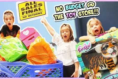 NO BUDGET AT TOYS R' US!! WE BOUGHT THE WHOLE STORE!!