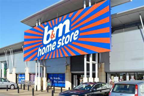 B&M shoppers are rushing for ‘stunning’ Christmas items that they ‘need’ to buy