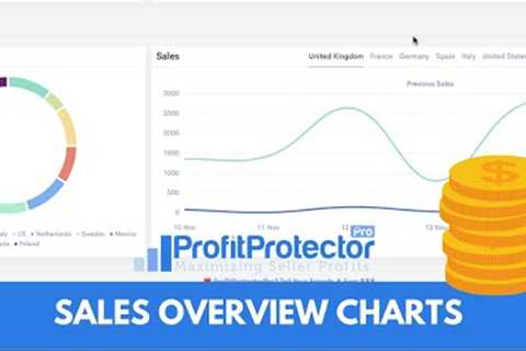 Assess Your Amazon Sales Performances For Your Online Arbitrage Business Within Profit Protector Pro