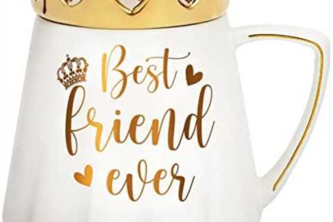 Best Friend Christmas Gifts for Women, Friendship Gifts for Friends Female, Funny Birthday Gifts..