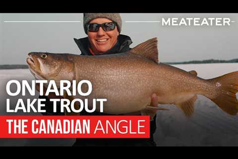 Ontario Lake Trout | The Canadian Angle