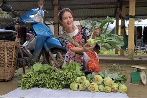 Harvest Kohlrabi And Bring It To The Market For A Very Good Income, king kong amazon, Episode 288