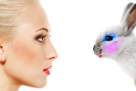 Alternatives to Testing Cosmetics on Animals