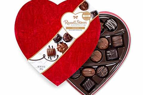 Russell Stover Assorted Milk and Dark Chocolates Velvet Heart shape box Valentine collection