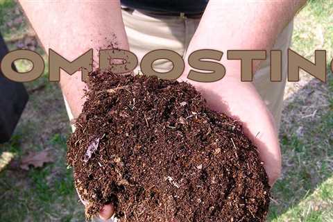 A Simple Beginner’s Guide to Composting