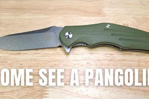 THE BEST LARGE BUDGET EDC FLIPPER QSP PANGOLIN AMAZON REVIEW