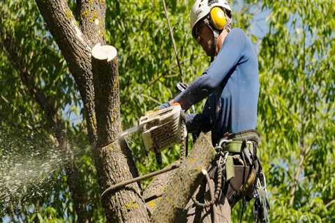 Finding a Qualified Technician to Repair Your Tree Service Equipment