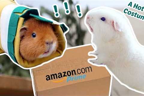 My Guinea Pigs Test Popular Amazon Products!