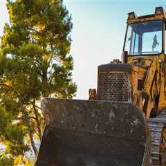 What Makes Skid Steer Loaders Such Useful Tools For Arborists