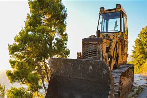 What Makes Skid Steer Loaders Such Useful Tools For Arborists