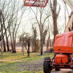 The Power Of Innovation: How Tree Service Equipment Is Revolutionizing Canberra's Tree Services