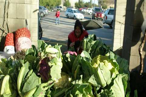 What Can You Sell at the Farmers Market in Williamson County?