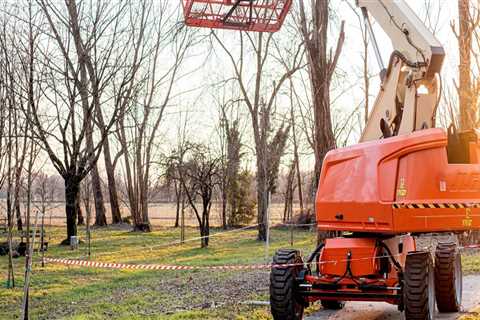 The Power Of Innovation: How Tree Service Equipment Is Revolutionizing Canberra's Tree Services