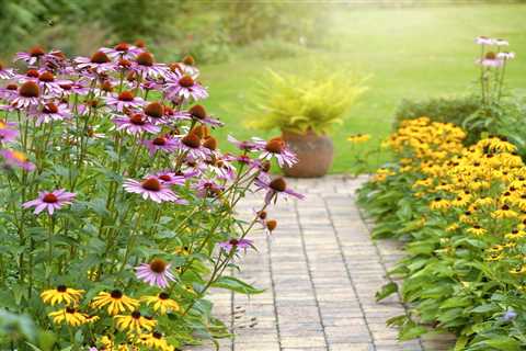 6 Perennials to Make Any Garden Pop!