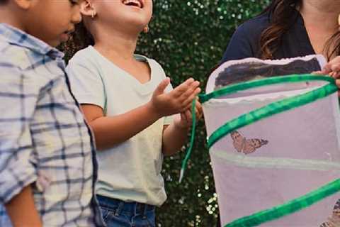 Insect Lore Giant Butterfly Garden Only $21.99 on Amazon (Regularly $33)