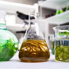 Clean Green: The Power of Eco-Friendly Chemicals