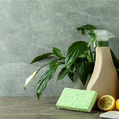 Clean Green: Discovering Eco-Friendly Cleaning Products