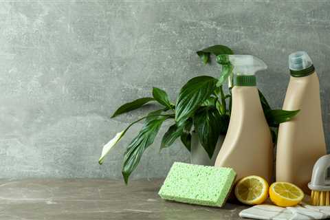 Clean Green: Discovering Eco-Friendly Cleaning Products