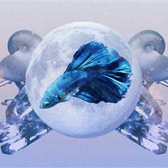 Read the Pisces Horoscope April 2023 for Your Sign's Love and Career Predictions
