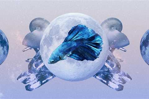 Read the Pisces Horoscope April 2023 for Your Sign's Love and Career Predictions