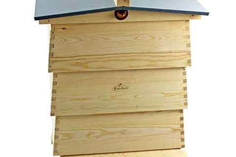 Decorative WBC Beehive for Garden - Easipet