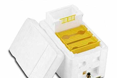 Tokenhigh Bee Hive Box: Beekeeping Equipment for Queen Breeding