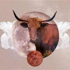 Taurus Monthly Horoscope for May 2023 — Read Your Sign's Love and Career Predictions
