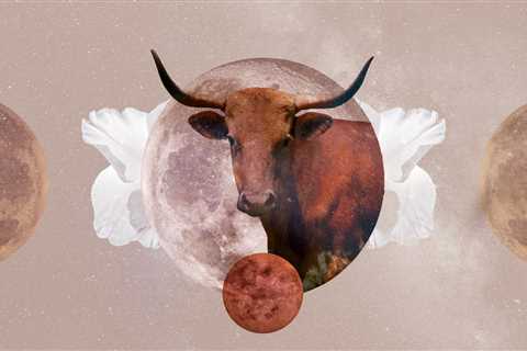 Taurus Monthly Horoscope for May 2023 — Read Your Sign's Love and Career Predictions