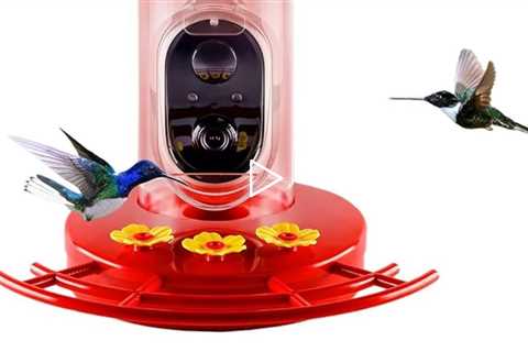 Nature's Rhythm Smart Hummingbird Feeder with Camera