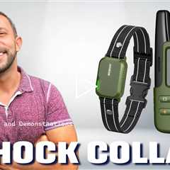 DT-61 Dog Training Collar with Remote for All Breeds