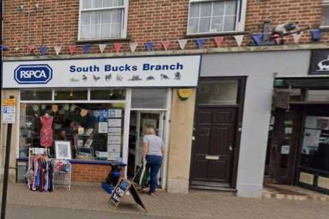 The Last Days of Risborough's RSPCA Shop: Another Charity Casualty