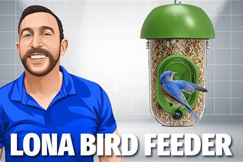 LONA Bird Feeders for Outdoors, Tube Bird Feeder Weatherproof