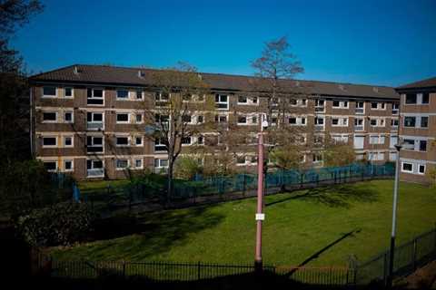 Lone Wolf in Concrete Wasteland – Meet the Bloke Who Won't Leave England's Most Deprived Estate