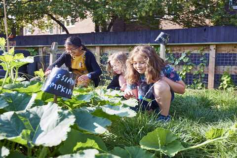Garden Lifesaver: I found a £4.99 gadget at Home Bargains that's keeping my sad plants alive..