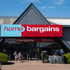 This £2 Home Bargains Find Just Saved My Summer (And My Sanity)