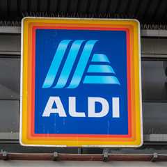Aldi's £20 Garden Shade is Back and I'm Already Planning My Third Purchase