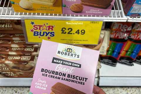 I Just Spent My Lunch Break Racing to Home Bargains for This £2.49 Ice Cream Hack