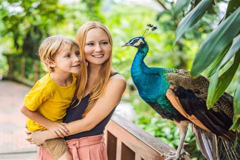How I Learned to Stop Worrying and Love Budget Family Days Out