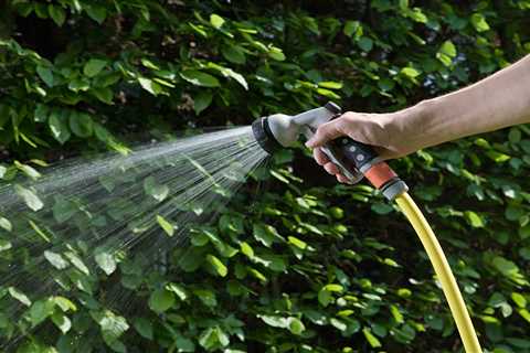 Tomorrow's the Day: Millions Face Hosepipe Bans (And How I'm Not Paying That £1,000 Fine)