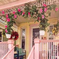 The Charm of Locally-Owned Boutiques in Northern New Jersey