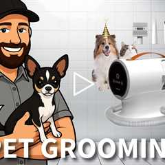 AIRROBO PG100 Pet Grooming Vacuum For the Best Pet Care