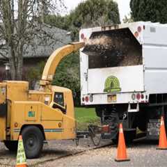 Professional Tree Service Equipment and Removal in Warminster
