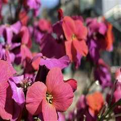 The Ultimate Guide to Gift Shops in Eugene, Oregon: Discover Unique Souvenirs