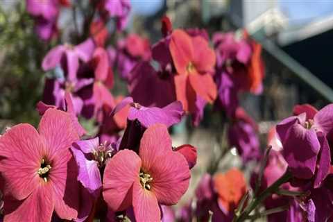 Discovering Unique Handmade Gifts: A Comprehensive Guide to Gift Shops in Eugene, Oregon