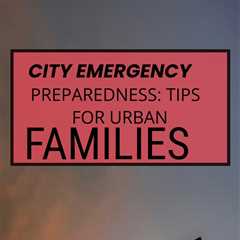 Get practical tips for city emergency preparedness with this insightful guide by David Goldman...