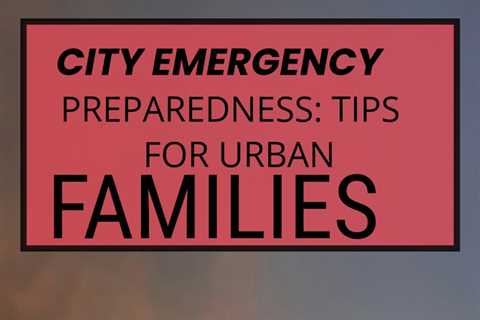Get practical tips for city emergency preparedness with this insightful guide by David Goldman...